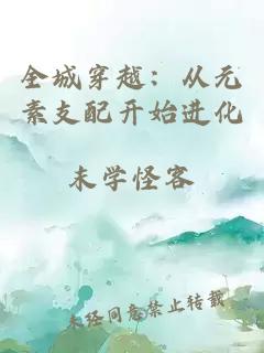 全城穿越:从元素支配开始进化