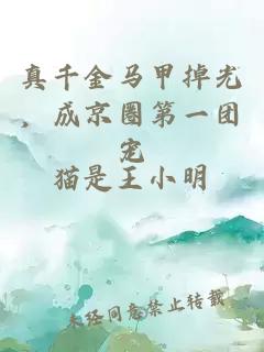 真千金马甲掉光,成京圈第一团宠